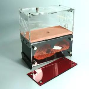 개미 농장 둥지 집 행동 연구소 중간 크기의 집.