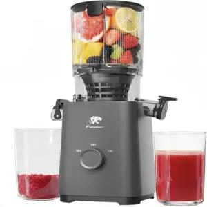 콜드 프레스 착즙기 기계 5.3인치 대형 사료 슈트 슬로우 마스틱 강력한 AC 브러시리스 모터 핏 통과일 및