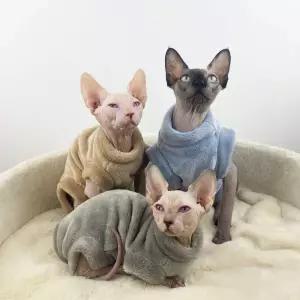 고양이전용옷 반려묘 겨울 따뜻한 고양이옷 반려동물