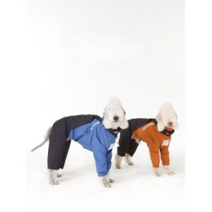 반려견우비 중형견 비옷 올인원 강아지 바람막이 레인코트 방수 휘핏 하운드 베들링턴테리어