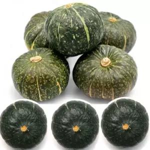 뉴질랜드 단호박10kg 호박 단호박