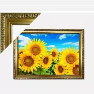 풍경화 1000피스퍼즐 해바라기들판+댄디골드 액자세트