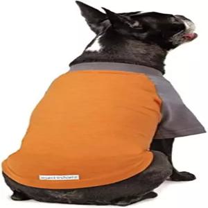 벼룩 진드기 모기 미디엄 오렌지로부터 개를 보호하는 곤충 방패 방충제 프리미엄 티셔츠 IE9414 1669