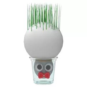 교과연계 식물재배 씨앗발아용 잔디인형 만들기 5인x2세트/ 과학놀이 홈가드닝 키우기