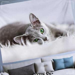 [2개구성] 러시안블루 특대200X150 인테리어포스터 패브릭가림막 가림막포스터 패브릭포스터 KW7DD462