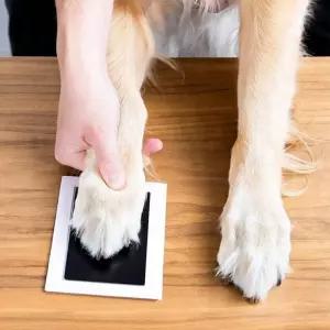 액자포함 키트 대형 키트 액자 발도장 반려동물 기념 DIY 만들기