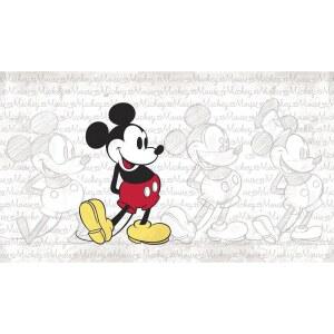 룸메이트 JL1404M 클래식 마우스 물 활성화 탈착식 벽 벽화 10.5피트 x 6피트