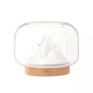 어항 꾸미기 키우기 희귀열대어 네온테트라