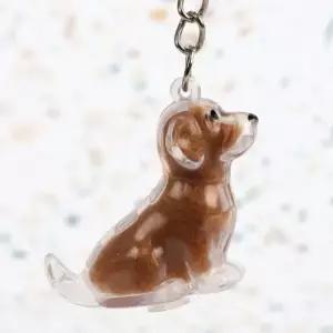 리트리버 반려견 메모리얼 강아지 털 보관 키링 추억 투명 캡슐