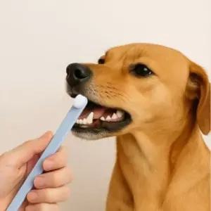 펫럽 반려동물 초미세 만모 칫솔 블루그레이 반려동물칫솔