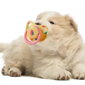 강아지유치 터그 치아용 강아지심신안정 인생샷쪽쪽이 강아지쪽쪽이