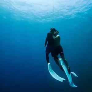 [세부] 정어리떼 프리다이빙 (초보가능 한국인강사 강습 바다속 체험)