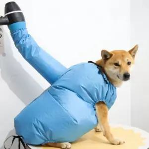 이루앤 애완동물드라이 애견드라이전용 드라이캡