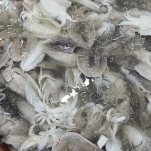 제철 손질 생물 갑오징어 800g