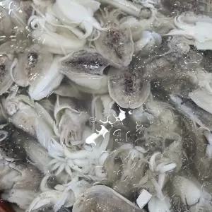 제철 손질 생물 갑오징어 800g