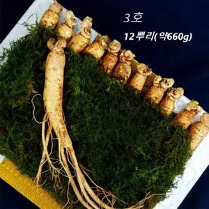 수삼 선물 세트 고려 인삼 생 12뿌리 약660g 금보자기 포장 명절 추석 설날 복날 수험생 고3 보양식 3호