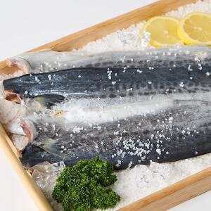 청정해역 제주에서 온 손질삼치