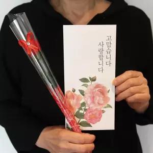 세트 어버이날  스승의날 카네이션 봉투 꽃 용돈
