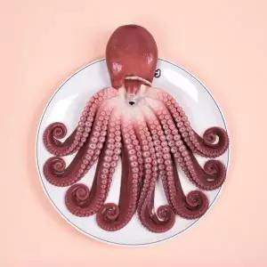 지삼 자연산 자숙 돌문어1미(실중량1.6kg내외)