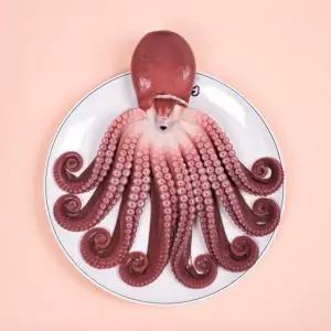 지삼 자연산 자숙 돌문어1미(실중량1.3kg내외)