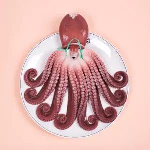 지삼 자연산 자숙 돌문어1미(실중량1.9kg내외)