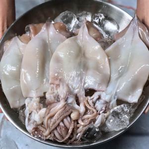 실속형 급냉 손질 오징어1kg 5-10미