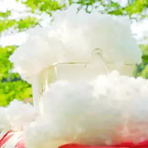 다솜 방울솜 5kg [마대포장]