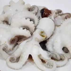 급냉 활 쭈꾸미 1kg