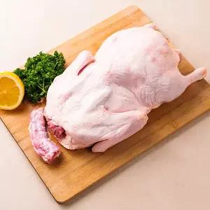 100% 국내산 백숙용 오리고기 손질 통오리 23호