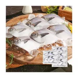 [2024년 수산 홈쇼핑상품] 국내산 병어 마시따구 손질병어 10마리 2마리씩 5팩 이리온아울렛 파인홈쇼핑