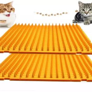 가시 방석 쫓기 6개