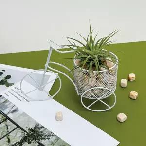 아트박스/토단 자전거를 탄 편백큐브와 이오난사 - 1인세트