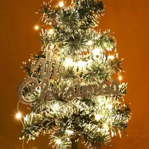 (은하수) 10구 LED 드럼 와이어 전구 5p세트(1m) (웜색) (버튼건전지타입)/불빛/크리스마스/전등/줄조명