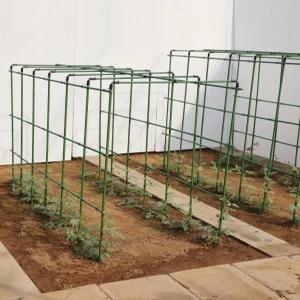 넝쿨지주대 오이 지지대 지름 포도나무 받침대 채소 식물 조립식 가지 꽂이 넝쿨 고정 화초