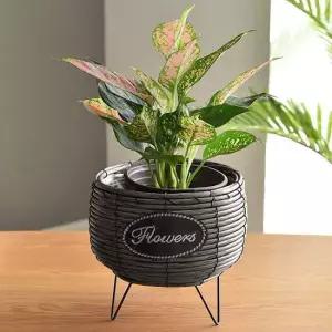 힐링하우스 스탠드 화분바구니 그레이 미니 화분커버