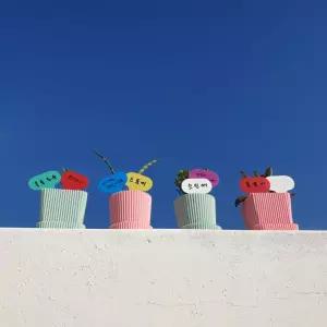 쉬스즈 T형 꽃팻말 이름표 라벨 식물 화분네임택 100P