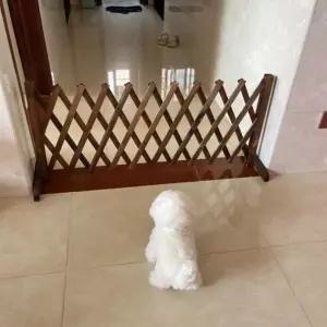펜스 접이식 나무 원목 담장 애견 난간 스 화단