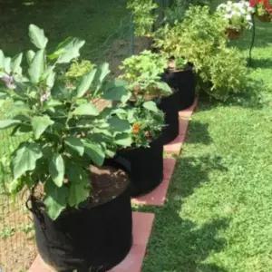 [RIZPICK]대형 화분 블루베리 원형 부직포 텃밭 재배용