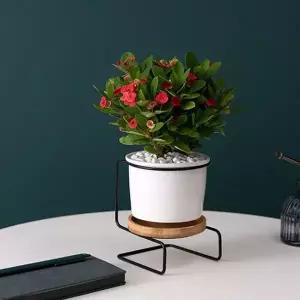 [RIZPICK]화분 스탠드 세트 도자기 인테리어 화분 블랙 대형