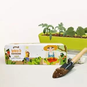 식물 키우기 세트 방울토마토 오이 미니 텃밭 가꾸기