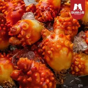 [마녀바스켓] 통영 당일조업 활멍게 피멍게 1kg(10미 내외)