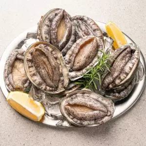 완도활전복 대사이즈 10미+1미 (미당 71g 내외)