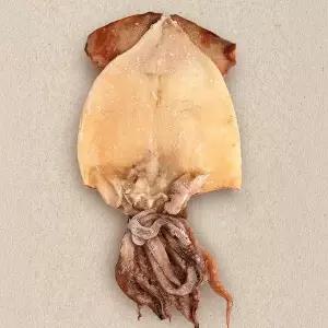 [원더랜드][프레쉬서비스] 간편 손질 오징어 500gX3팩 (팩당 2-4미/냉동)