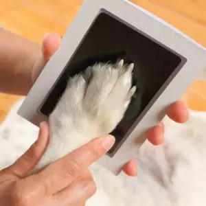 액자 발도장 고양이 강아지 발자국 세트 셀프 스탬프 반려견