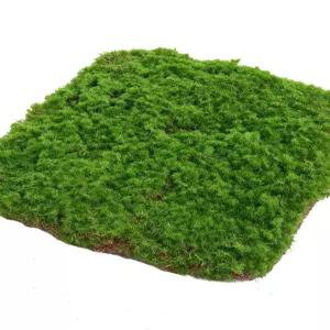 인조조경 매트 인조이끼 인공식물 조화 정원 데코 카펫 셀프 장식용 인조잔디