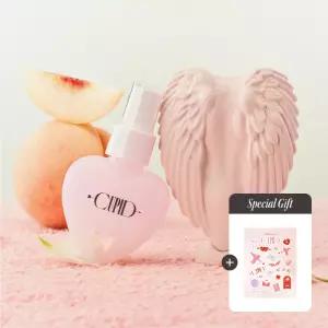 NEW 탱글엔젤 큐피드 손상모 헤어 브러쉬 2 Colors, 2way 슬라이딩 핸들 +헤어미스트스티커 207300