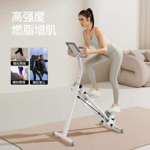 스템밀 천국의계단 가정용 홈트 엑사이더 마운틴 안전 프로마운틴 스텝업 파티마 걷기