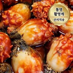 당일조업 통영 활멍게 특품 2kg (10~18미)