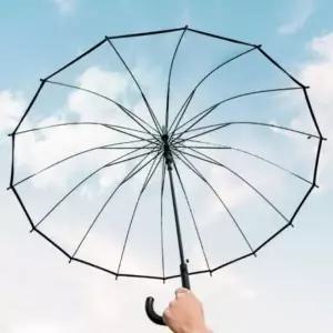 장우산 투명 비닐 직장인 16살대 골프 1단 반자동 답례품 우산 선물