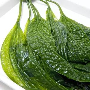 국내산 해조류 곰보미역 곰피 5kg